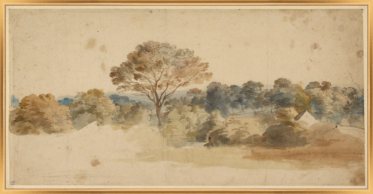 Martha Stewart Bedford | Pastoral Landscape: Tree Line | Framed Country Farmhouse Wall Art