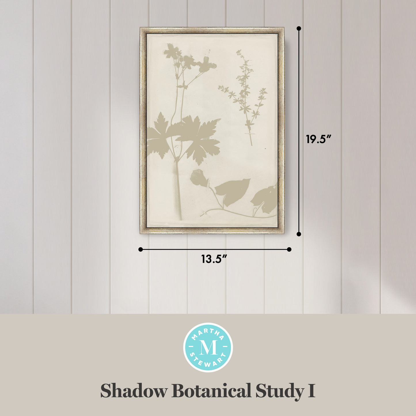 Martha Stewart Bedford | Shadow Botanical Study I | Framed Farmhouse Wall Art