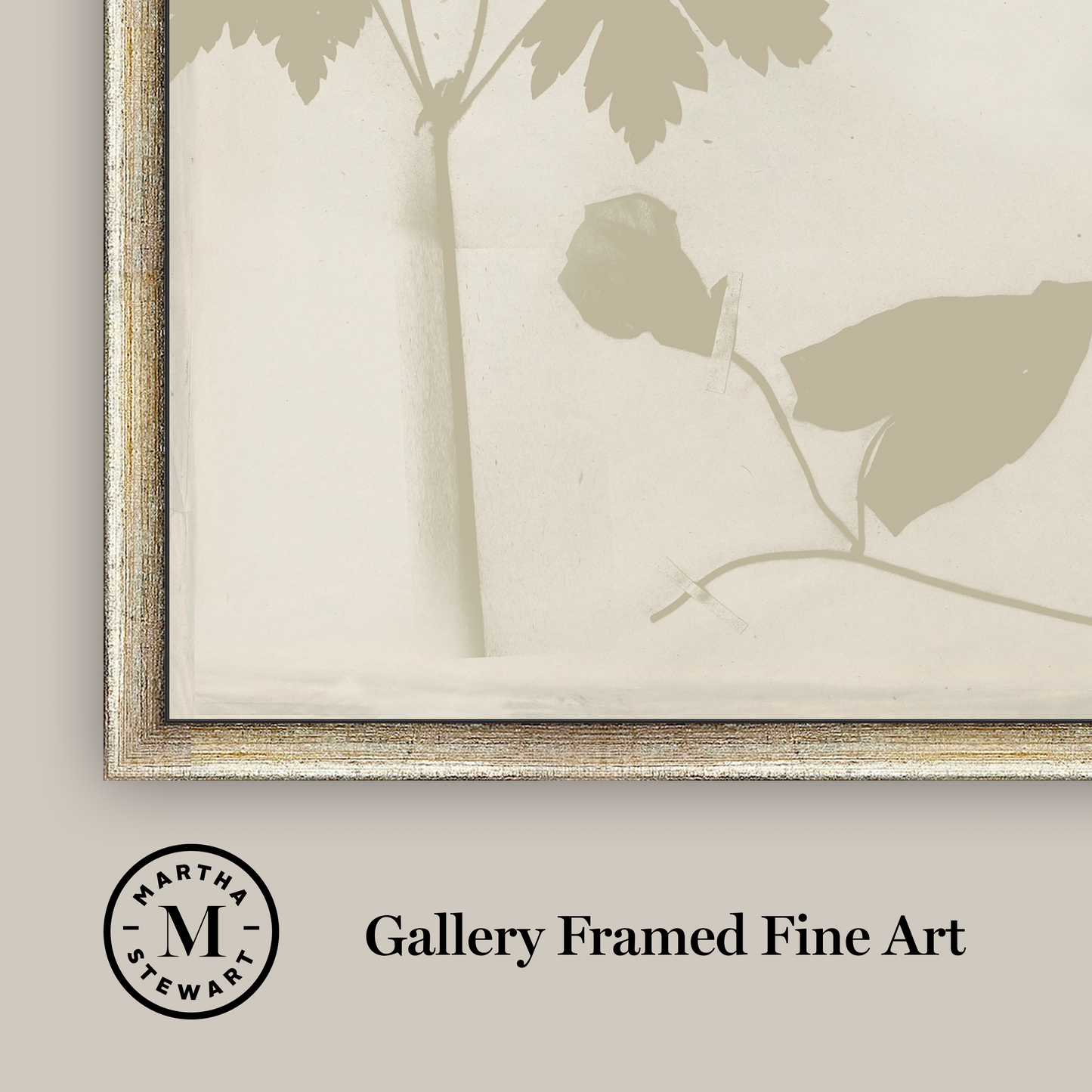Martha Stewart Bedford | Shadow Botanical Study I | Framed Farmhouse Wall Art