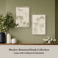 Martha Stewart Bedford | Shadow Botanical Study I | Framed Farmhouse Wall Art