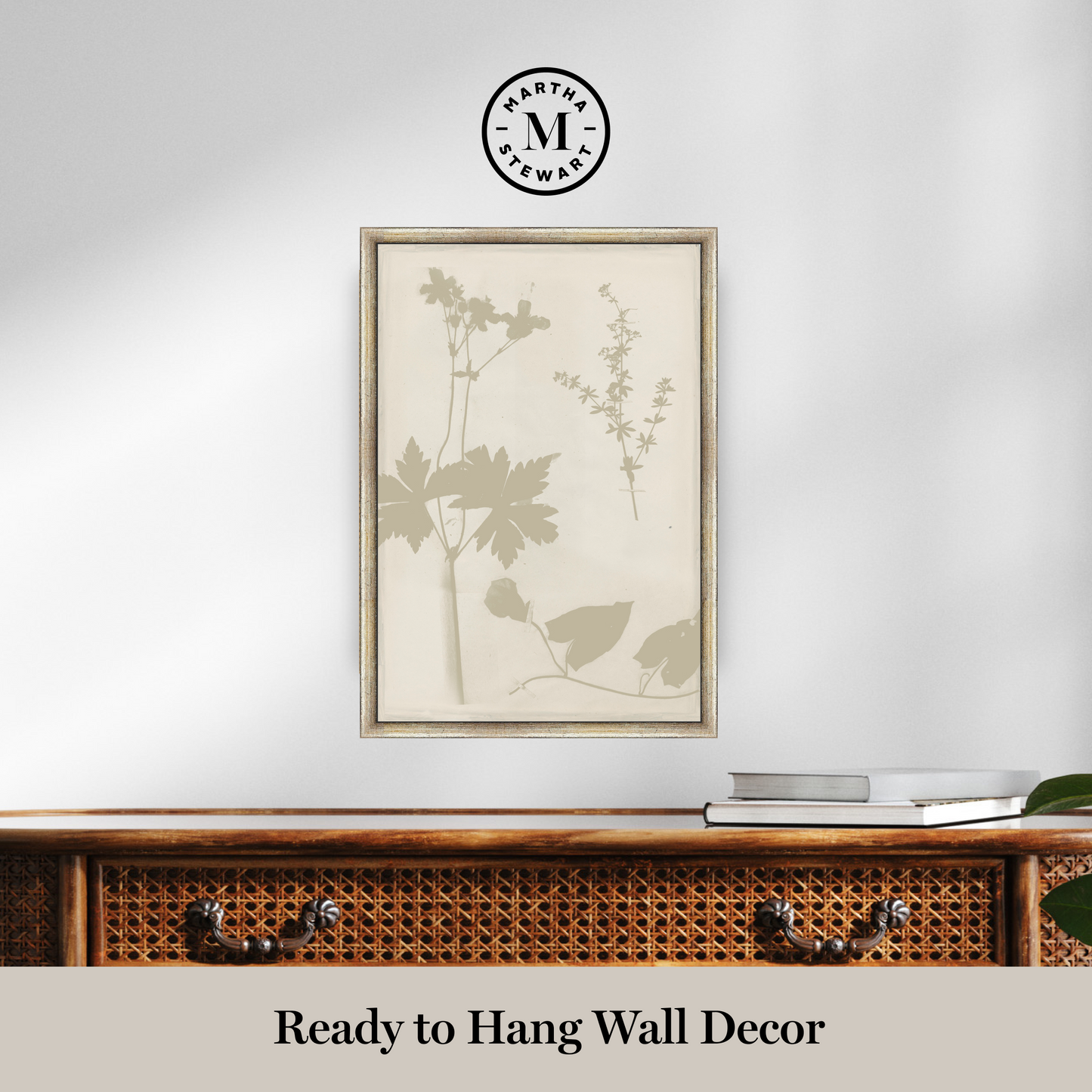 Martha Stewart Bedford | Shadow Botanical Study I | Framed Farmhouse Wall Art
