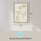 Martha Stewart Bedford | Shadow Botanical Study II | Framed Country Farmhouse Wall Art