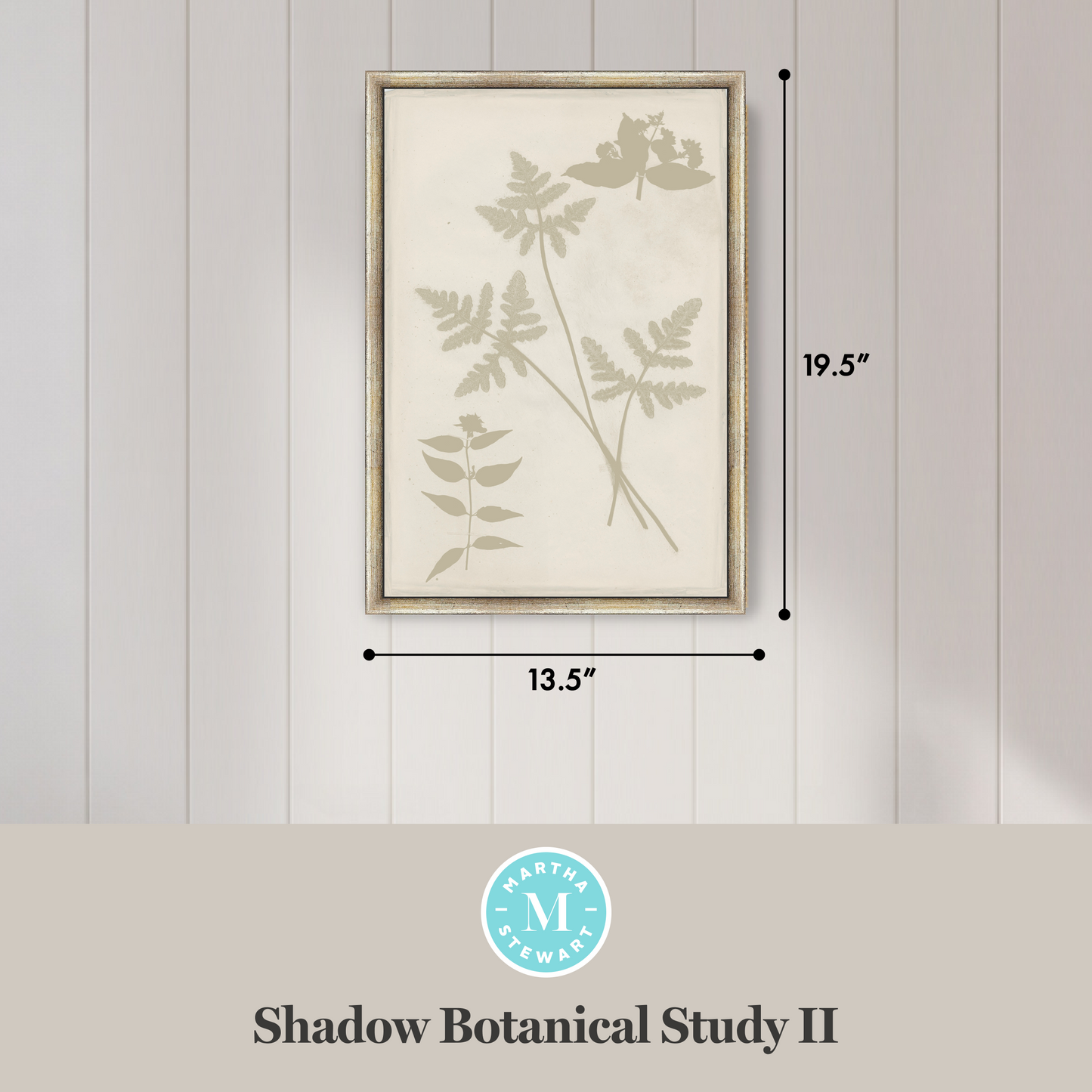 Martha Stewart Bedford | Shadow Botanical Study II | Framed Country Farmhouse Wall Art