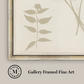Martha Stewart Bedford | Shadow Botanical Study II | Framed Country Farmhouse Wall Art
