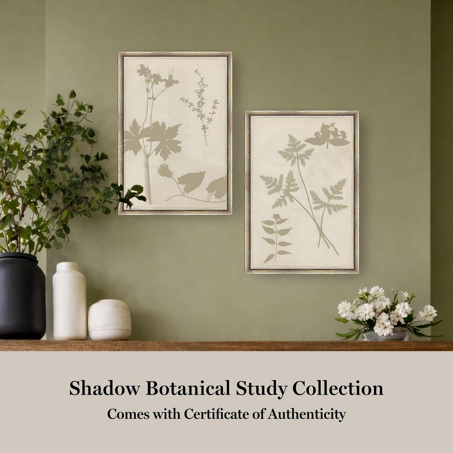 Martha Stewart Bedford | Shadow Botanical Study II | Framed Country Farmhouse Wall Art