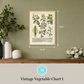 Martha Stewart Bedford | Vintage Vegetable Chart I | Framed Country Farmhouse Wall Art