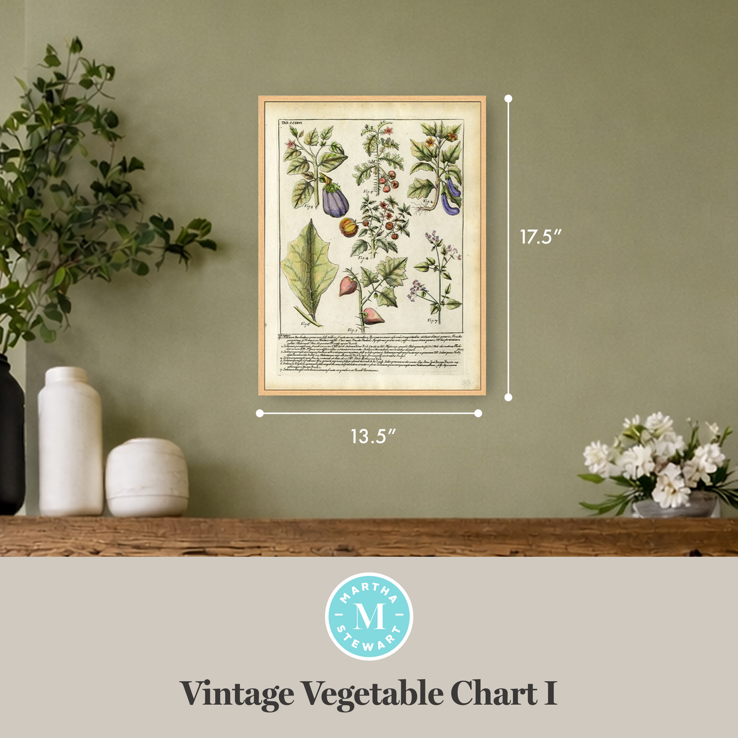 Martha Stewart Bedford | Vintage Vegetable Chart I | Framed Country Farmhouse Wall Art
