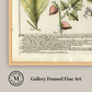 Martha Stewart Bedford | Vintage Vegetable Chart I | Framed Country Farmhouse Wall Art