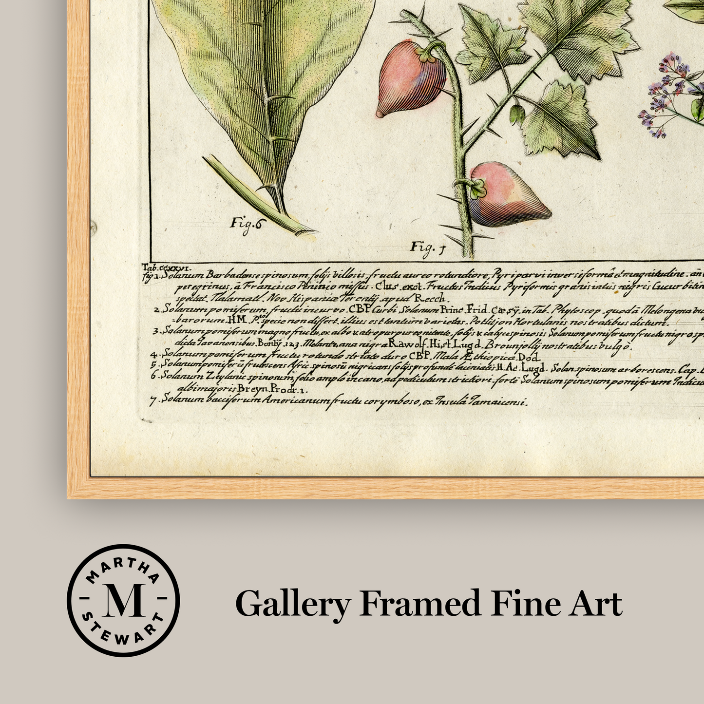 Martha Stewart Bedford | Vintage Vegetable Chart I | Framed Country Farmhouse Wall Art