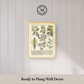 Martha Stewart Bedford | Vintage Vegetable Chart I | Framed Country Farmhouse Wall Art