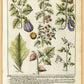Martha Stewart Bedford | Vintage Vegetable Chart I | Framed Country Farmhouse Wall Art