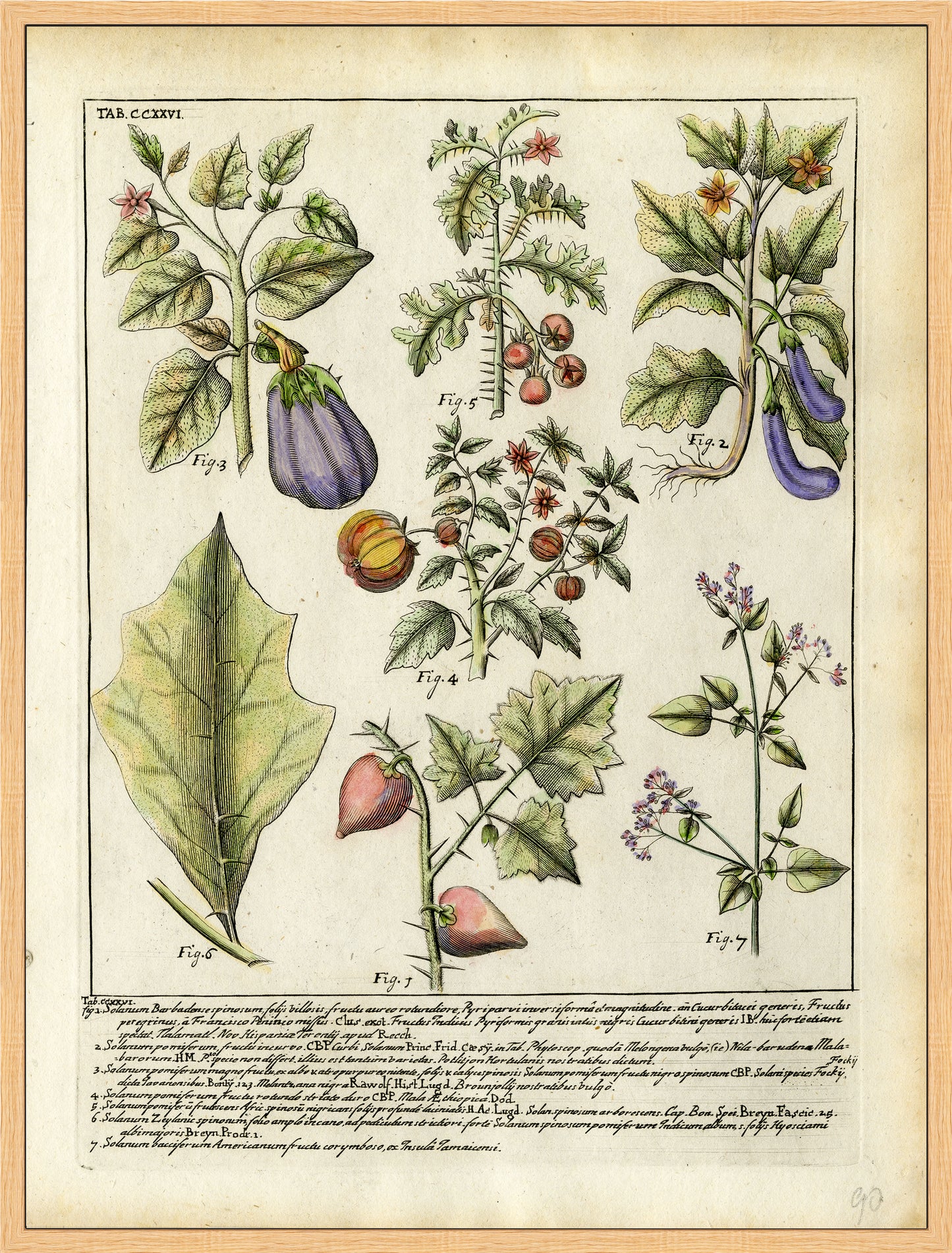 Martha Stewart Bedford | Vintage Vegetable Chart I | Framed Country Farmhouse Wall Art