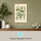 Martha Stewart Bedford | Vintage Vegetable Chart II | Framed Country Farmhouse Wall Art