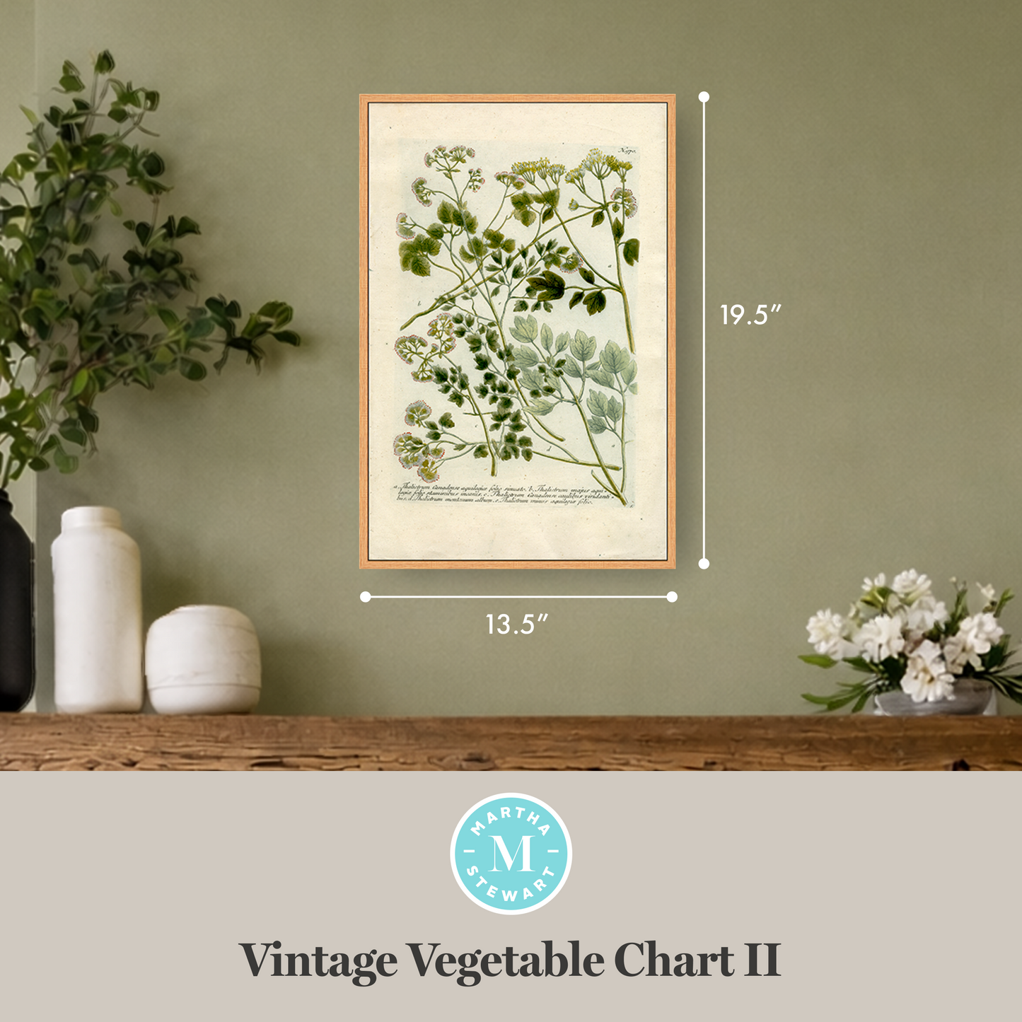 Martha Stewart Bedford | Vintage Vegetable Chart II | Framed Country Farmhouse Wall Art