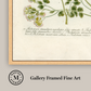 Martha Stewart Bedford | Vintage Vegetable Chart II | Framed Country Farmhouse Wall Art