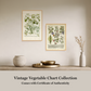 Martha Stewart Bedford | Vintage Vegetable Chart II | Framed Country Farmhouse Wall Art