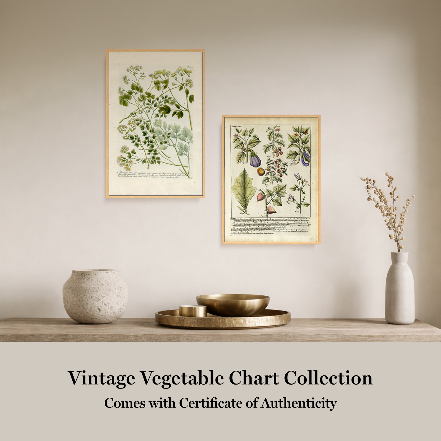Martha Stewart Bedford | Vintage Vegetable Chart II | Framed Country Farmhouse Wall Art