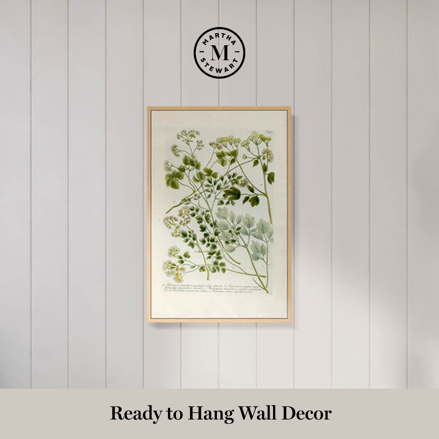 Martha Stewart Bedford | Vintage Vegetable Chart II | Framed Country Farmhouse Wall Art
