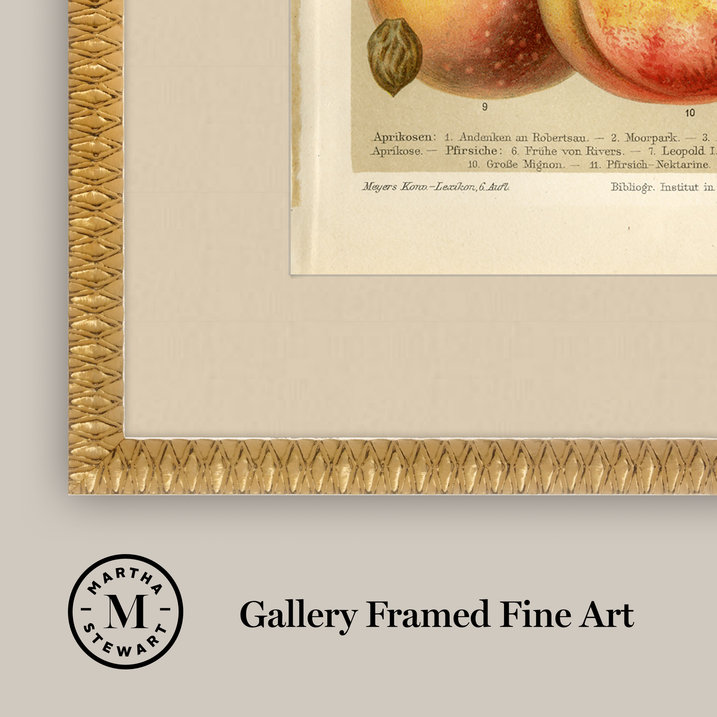 Martha Stewart Bedford | Orchard Study: Peaches | Framed Country Farmhouse Wall Art