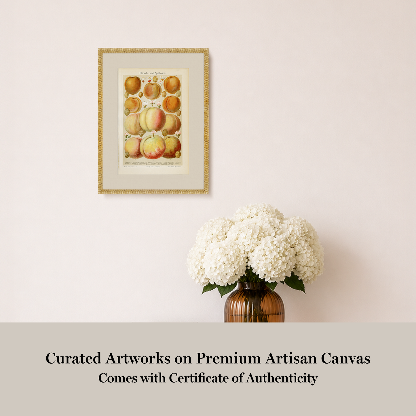 Martha Stewart Bedford | Orchard Study: Peaches | Framed Country Farmhouse Wall Art