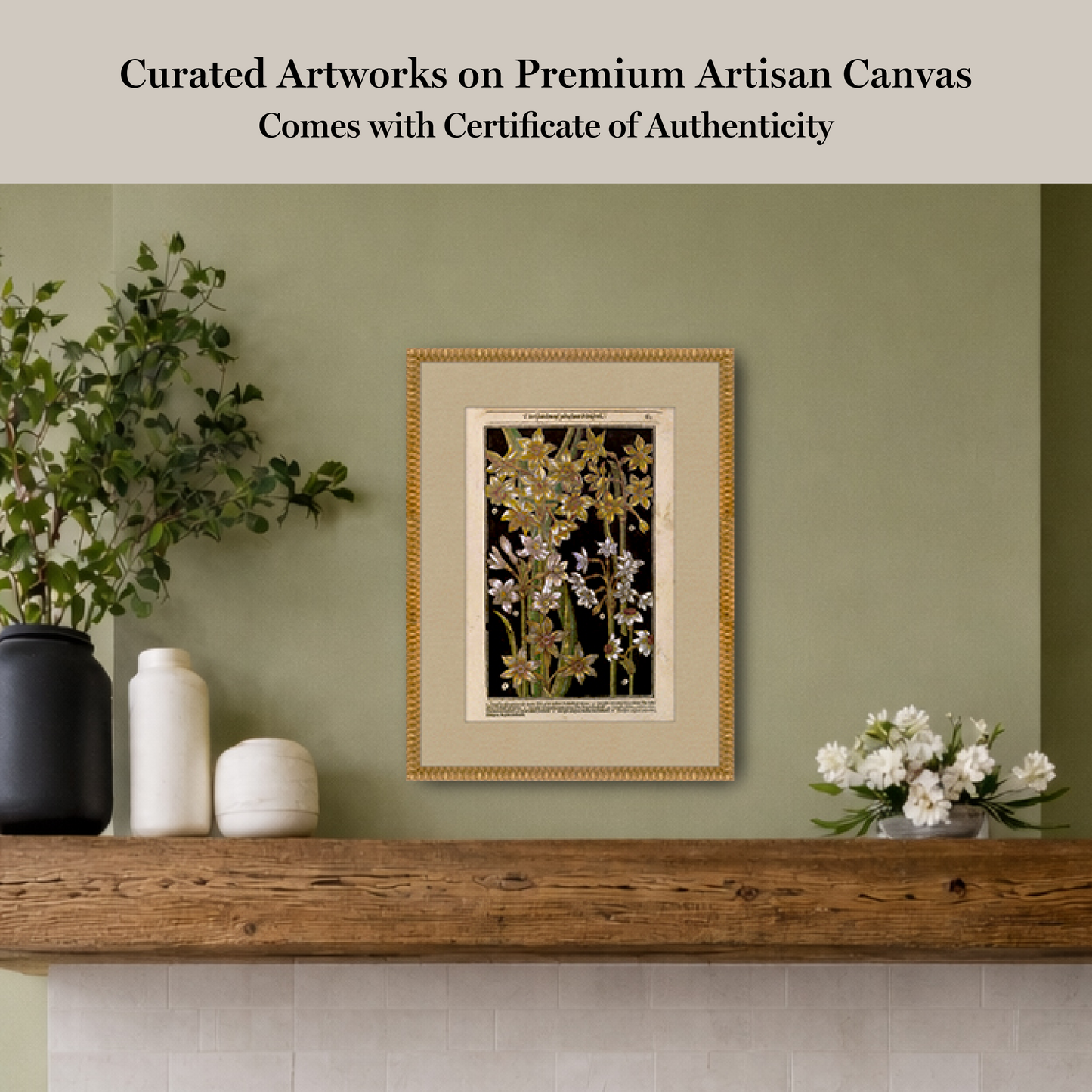 Martha Stewart Bedford | Magnolia Botanical Study | Framed Country Farmhouse Wall Art