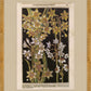 Martha Stewart Bedford | Magnolia Botanical Study | Framed Country Farmhouse Wall Art