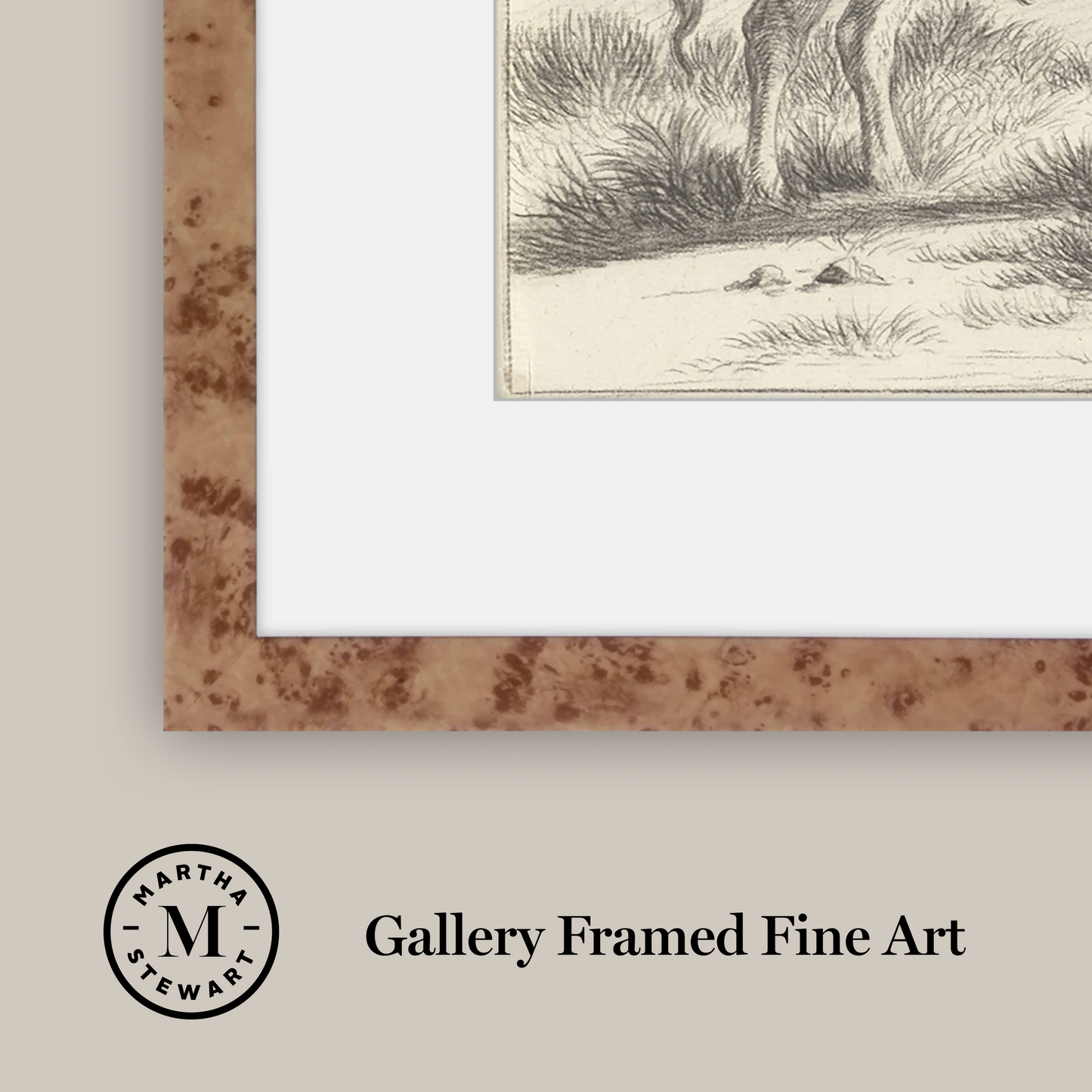Martha Stewart Bedford | Livestock Study: White Cow | Framed Country Farmhouse Wall Art