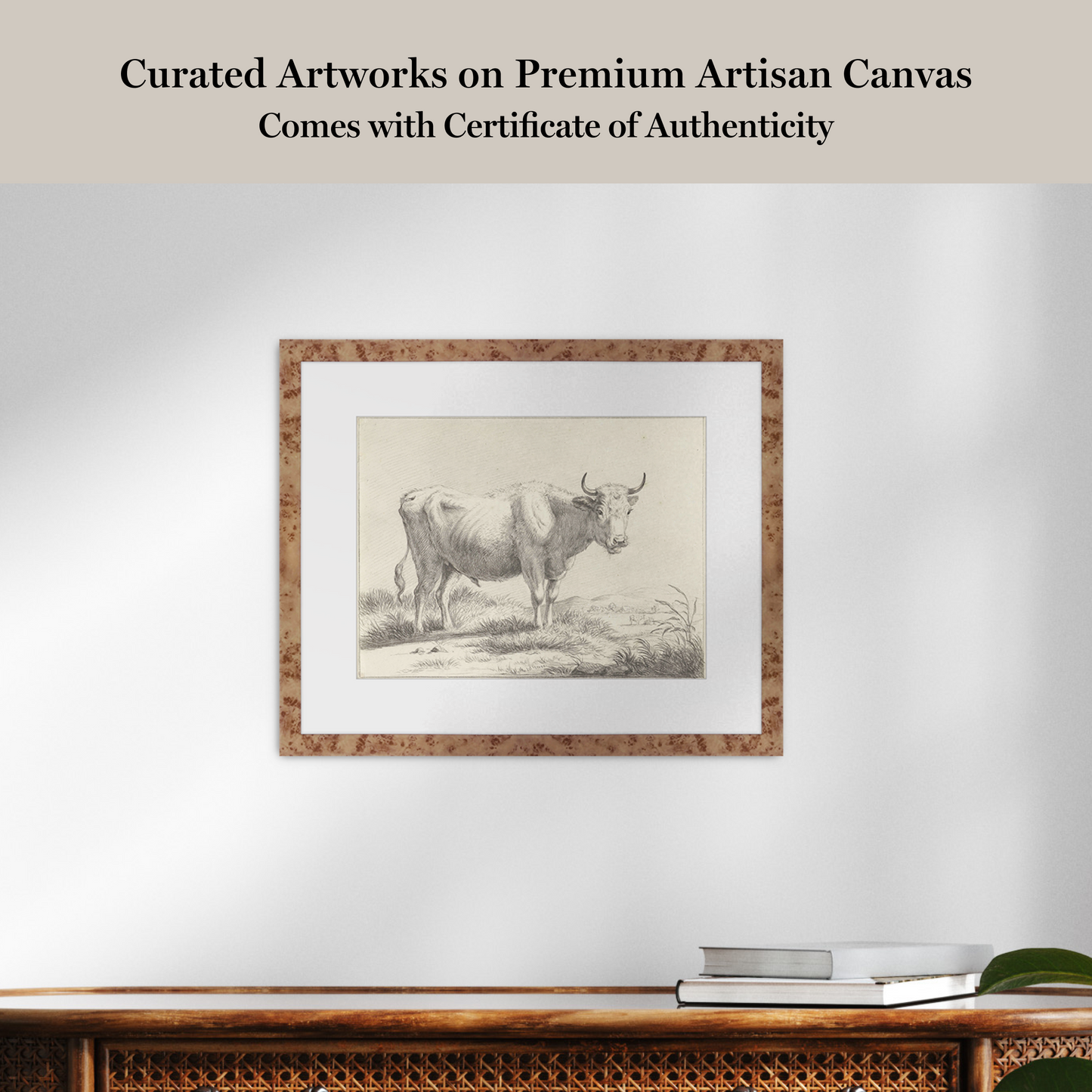 Martha Stewart Bedford | Livestock Study: White Cow | Framed Country Farmhouse Wall Art