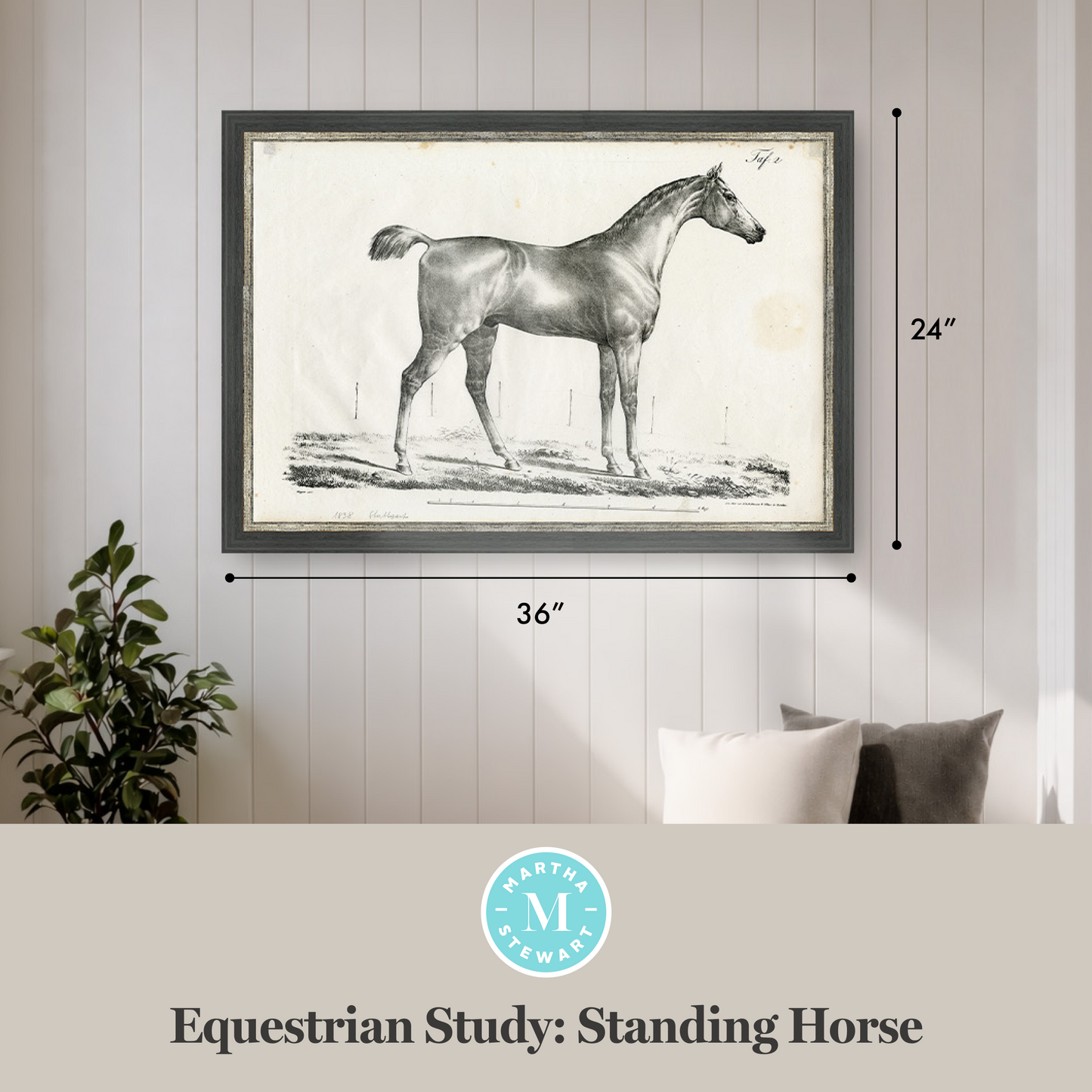 Martha Stewart Bedford | Equestrian Study: Standing Horse | Framed Country Farmhouse Wall Art