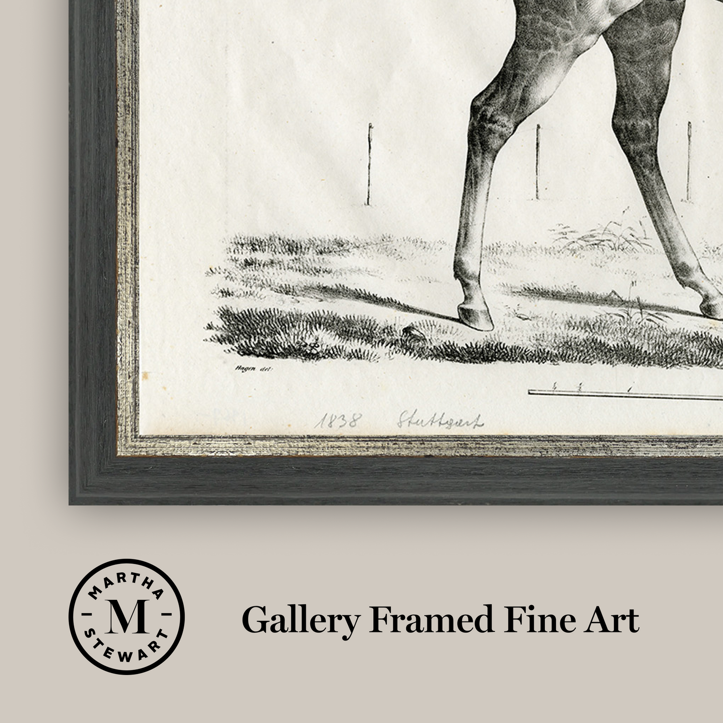 Martha Stewart Bedford | Equestrian Study: Standing Horse | Framed Country Farmhouse Wall Art