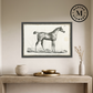 Martha Stewart Bedford | Equestrian Study: Standing Horse | Framed Country Farmhouse Wall Art