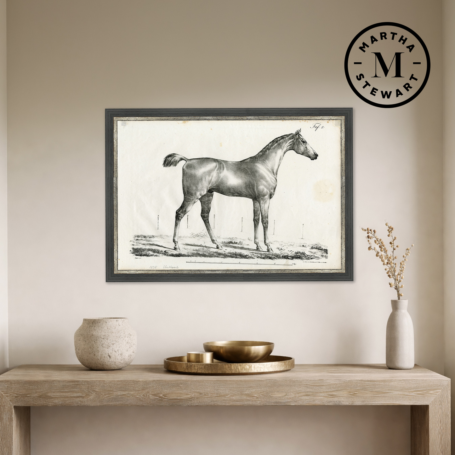 Martha Stewart Bedford | Equestrian Study: Standing Horse | Framed Country Farmhouse Wall Art