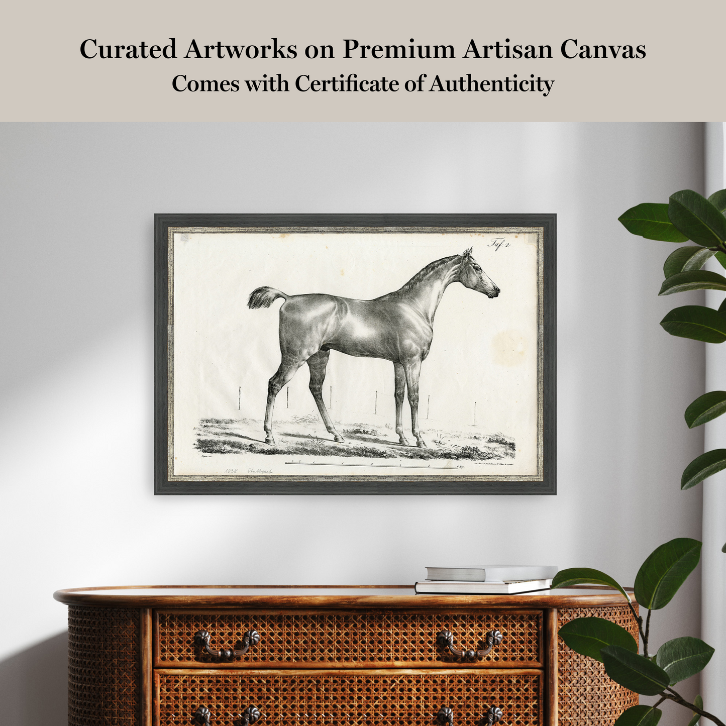Martha Stewart Bedford | Equestrian Study: Standing Horse | Framed Country Farmhouse Wall Art