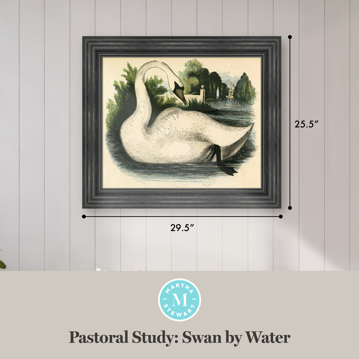 Martha Stewart Bedford | Pastoral Study: Swan by Water | Framed Country Farmhouse Wall Art