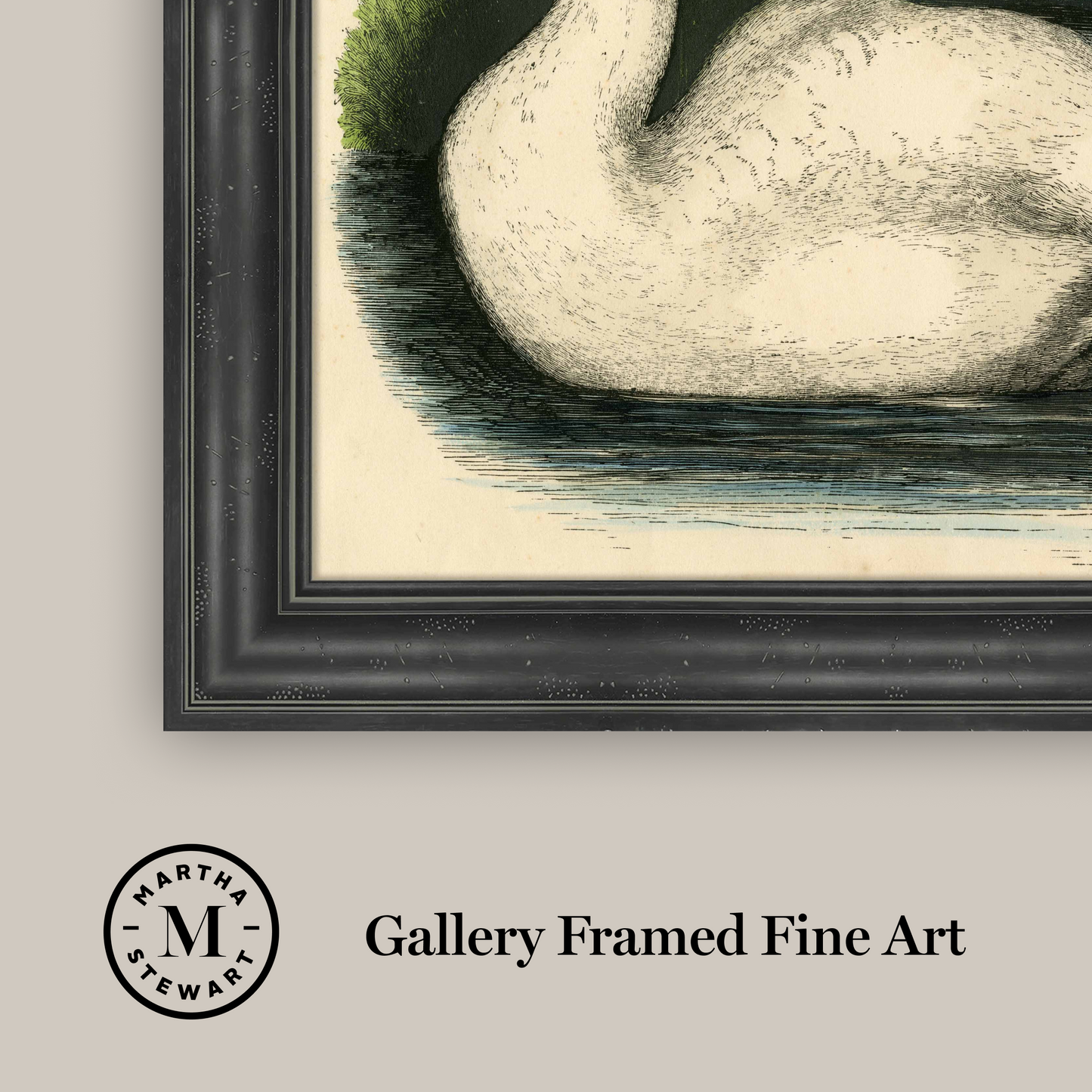Martha Stewart Bedford | Pastoral Study: Swan by Water | Framed Country Farmhouse Wall Art