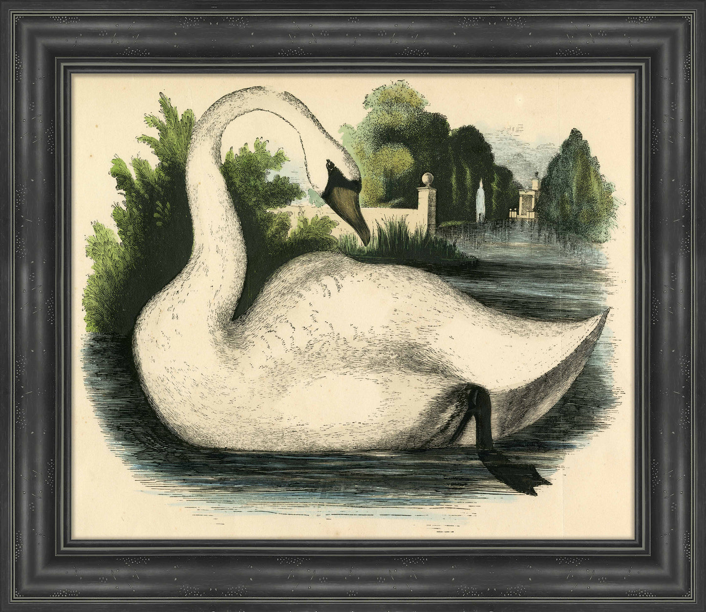 Martha Stewart Bedford | Pastoral Study: Swan by Water | Framed Country Farmhouse Wall Art