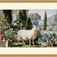 Martha Stewart Bedford | Farm Animal Portrait: Pedigree Sheep | Framed Country Farmhouse Wall Art