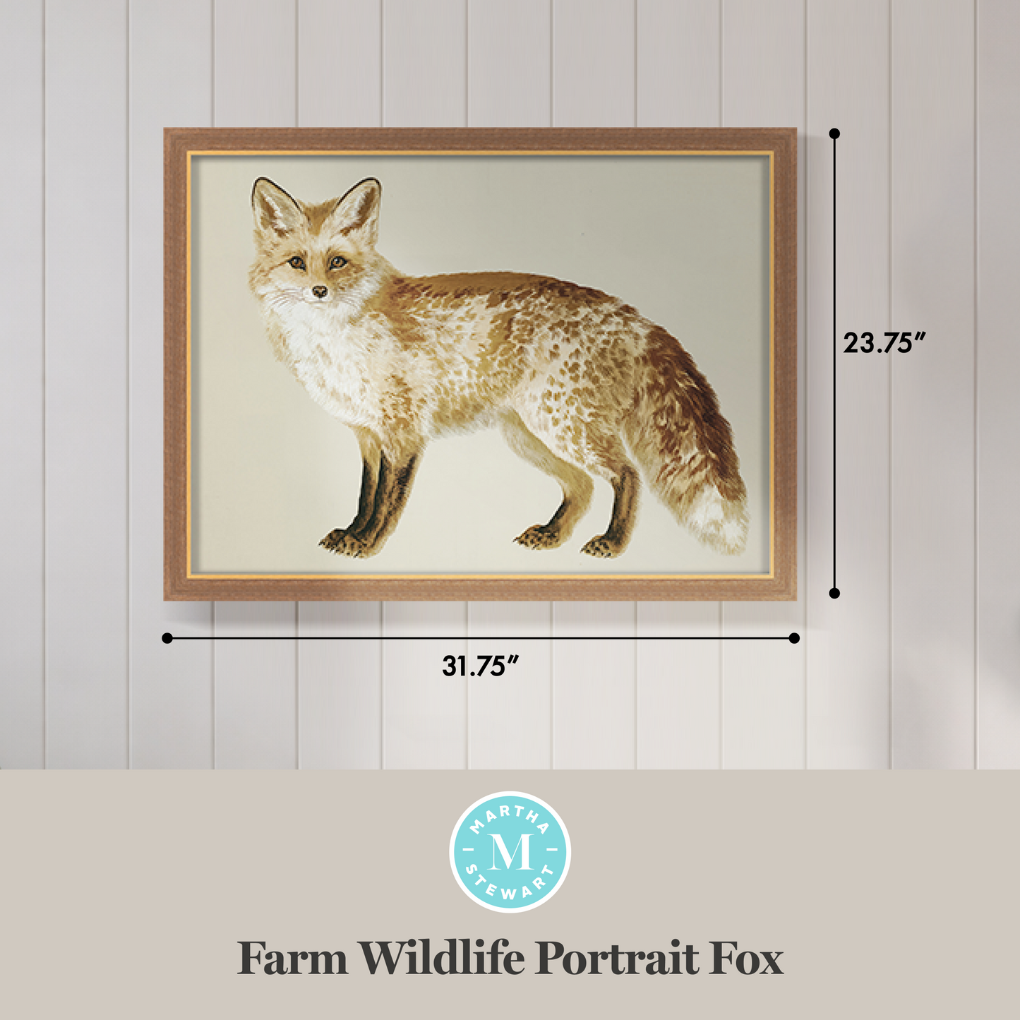 Martha Stewart Bedford | Farm Wildlife Portrait: Fox | Framed Country Farmhouse Wall Art