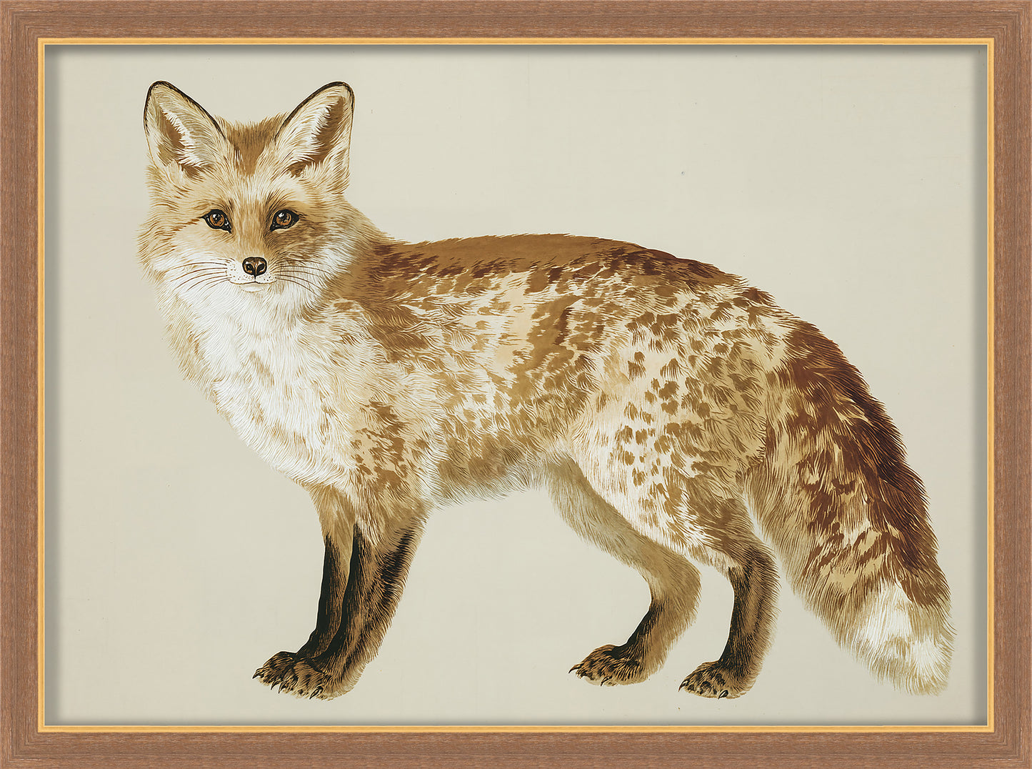Martha Stewart Bedford | Farm Wildlife Portrait: Fox | Framed Country Farmhouse Wall Art