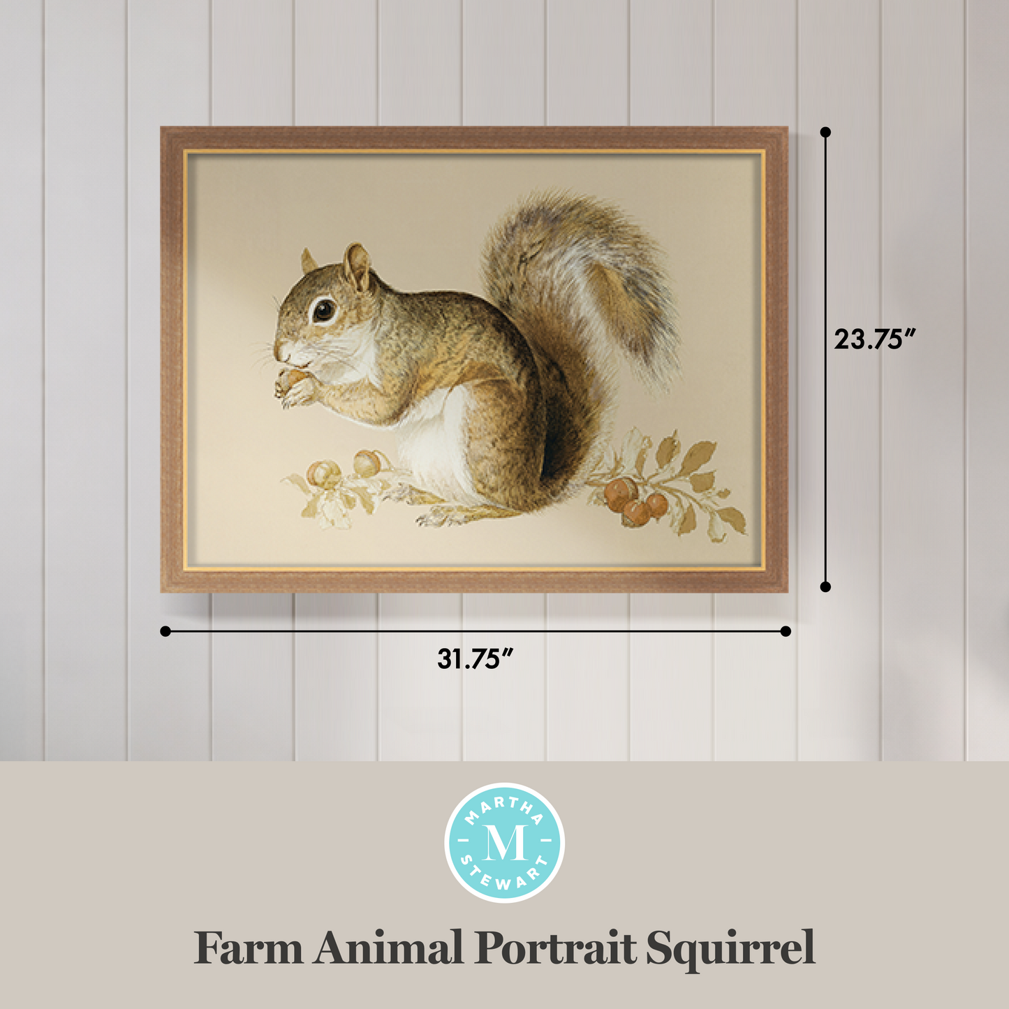 Martha Stewart Bedford | Farm Animal Portrait: Squirrel | Framed Country Farmhouse Wall Art