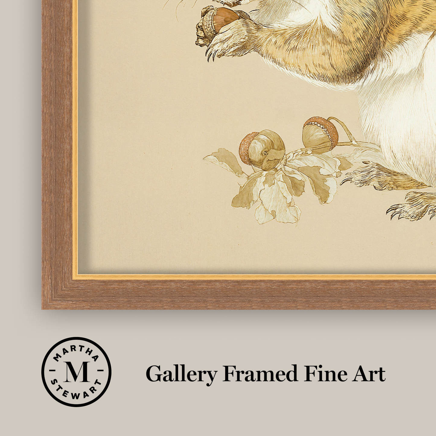 Martha Stewart Bedford | Farm Animal Portrait: Squirrel | Framed Country Farmhouse Wall Art