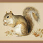 Martha Stewart Bedford | Farm Animal Portrait: Squirrel | Framed Country Farmhouse Wall Art