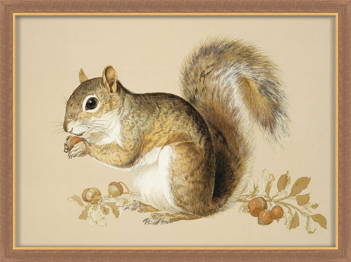 Martha Stewart Bedford | Farm Animal Portrait: Squirrel | Framed Country Farmhouse Wall Art