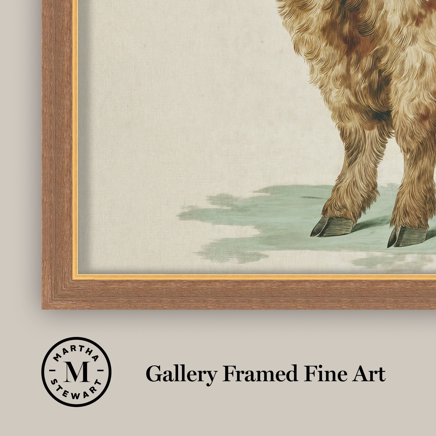 Martha Stewart Bedford | Livestock Portrait: Highland Calf | Framed Country Farmhouse Wall Art