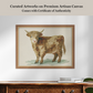 Martha Stewart Bedford | Livestock Portrait: Highland Calf | Framed Country Farmhouse Wall Art