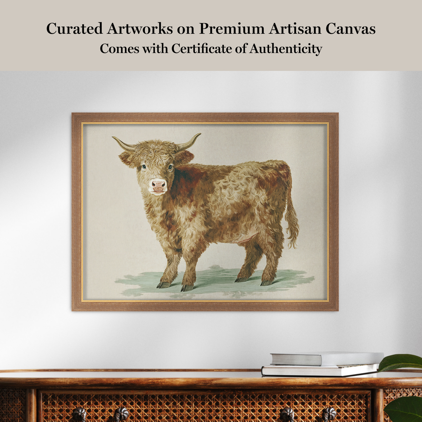 Martha Stewart Bedford | Livestock Portrait: Highland Calf | Framed Country Farmhouse Wall Art