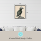 Martha Stewart Lily Pond | Coastal Bird Study: Puffin | Framed Coastal Cottage Wall Art
