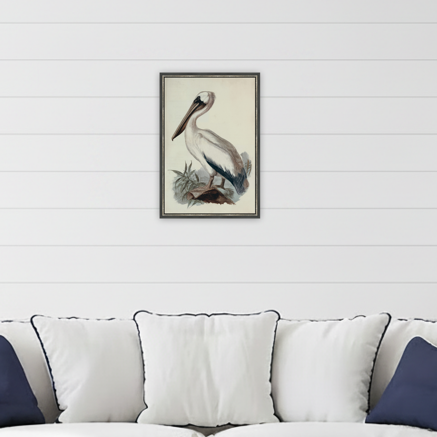 Martha Stewart Lily Pond | Coastal Bird Study: Pelican | Framed Coastal Cottage Wall Art