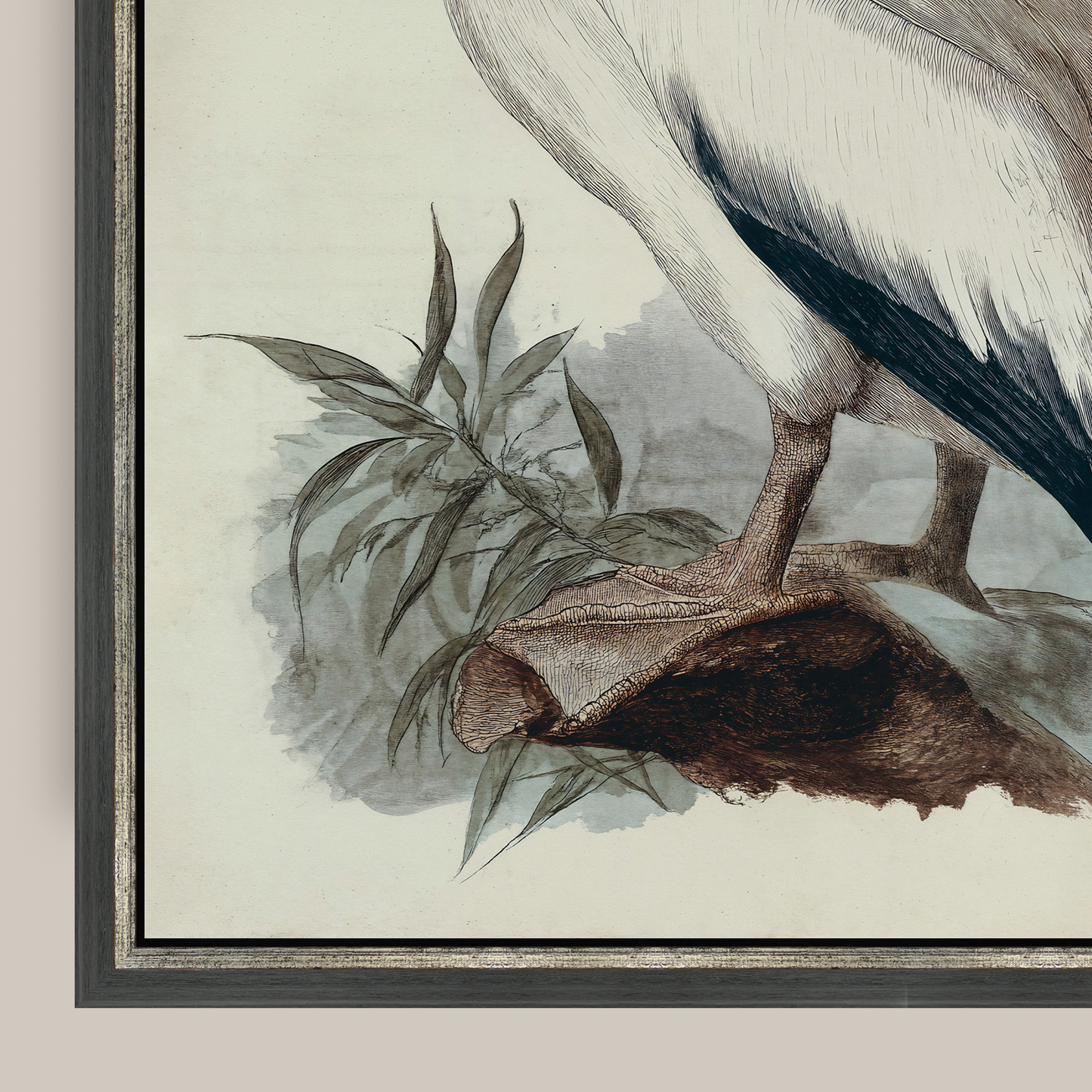 Martha Stewart Lily Pond | Coastal Bird Study: Pelican | Framed Coastal Cottage Wall Art