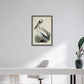 Martha Stewart Lily Pond | Coastal Bird Study: Pelican | Framed Coastal Cottage Wall Art